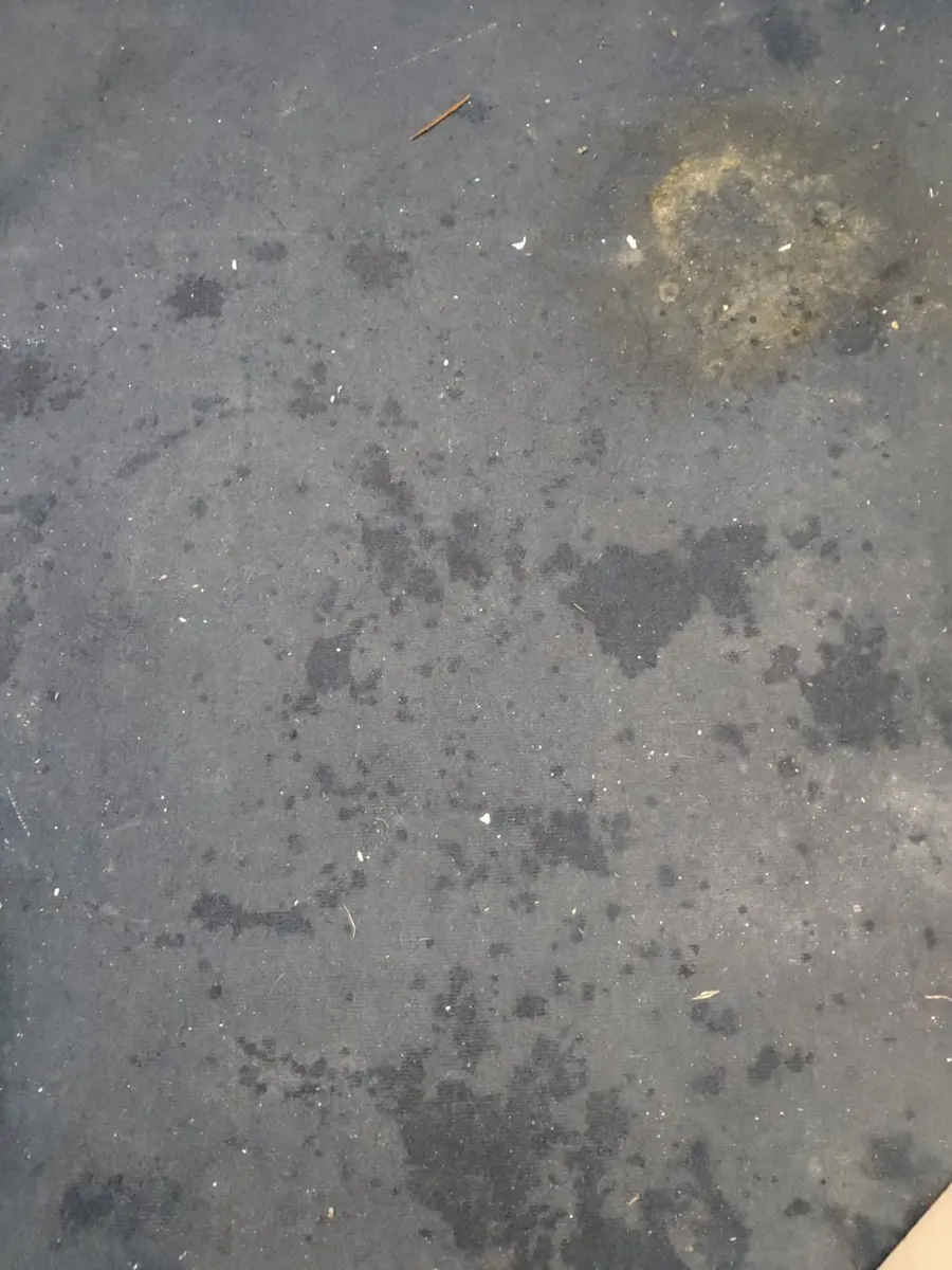 Održavanje higijene ureda - Dubinsko pranje tapisona u hodnicima tvrtke