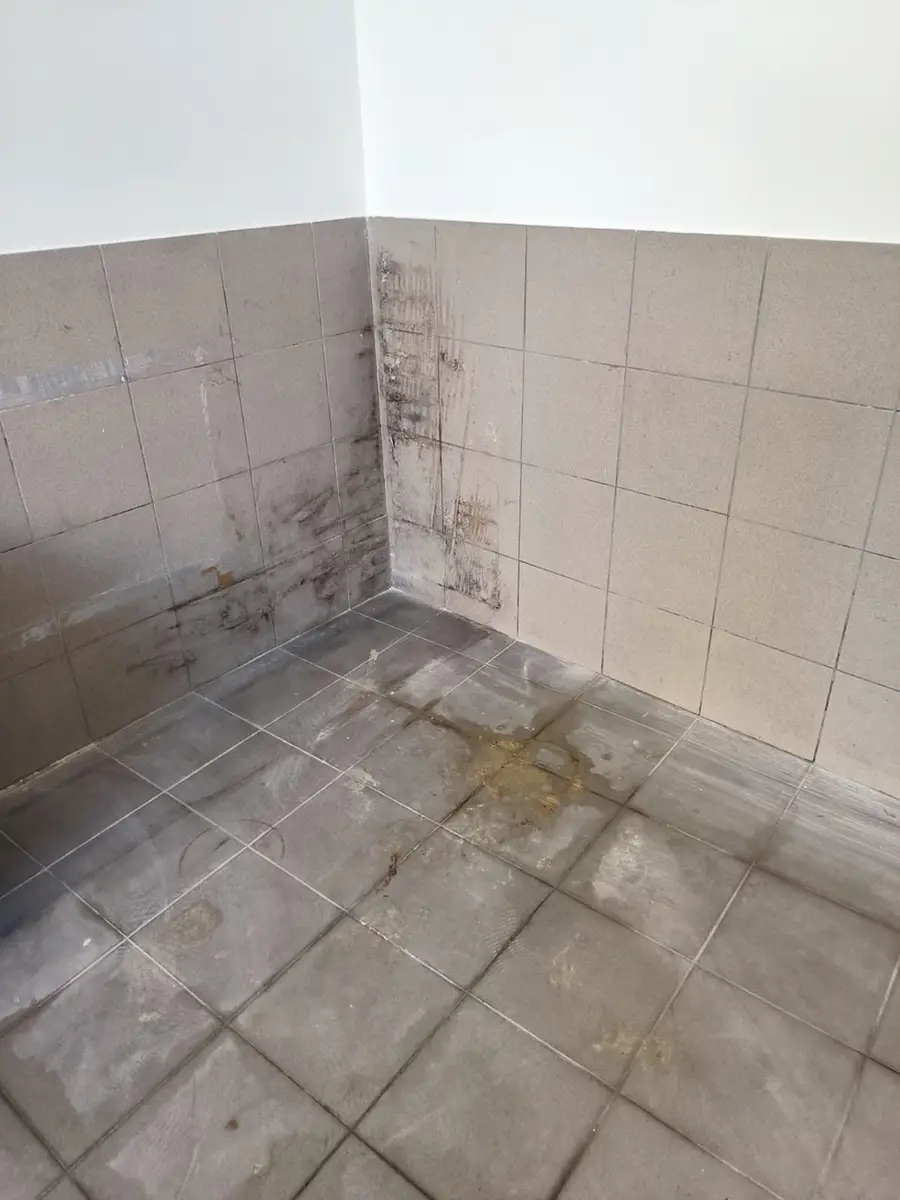 Prije i poslije visokotlačnog čišćenje zapuštenog dvorišta u Zaprešiću