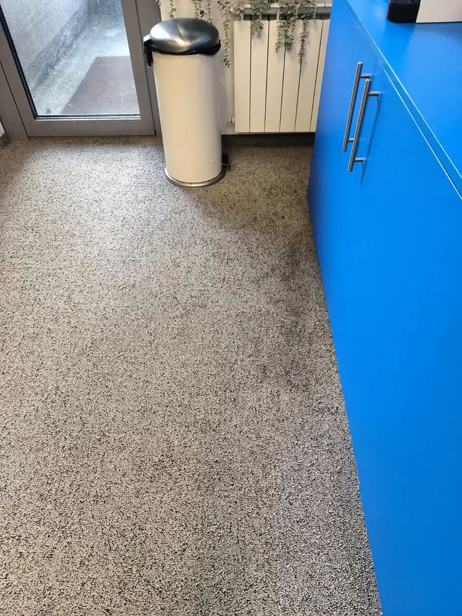Silba servis - Dubinsko čišćenje staza i tapisona u luksuznim hotelima