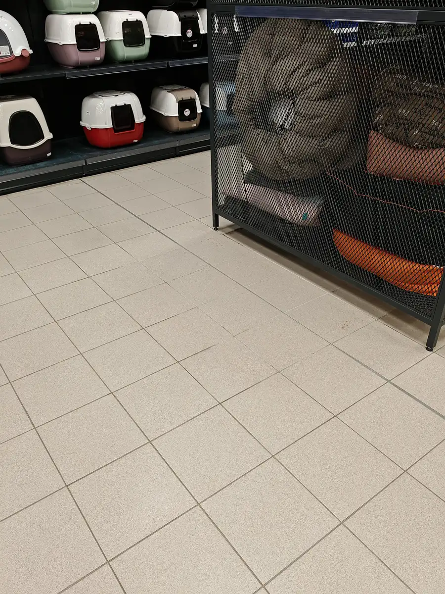 Strojno pranje i dezinfekcija podova u fitnes centrima i teretanama